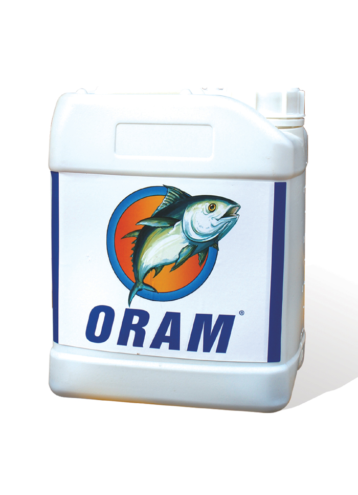 奥拉姆鱼蛋白